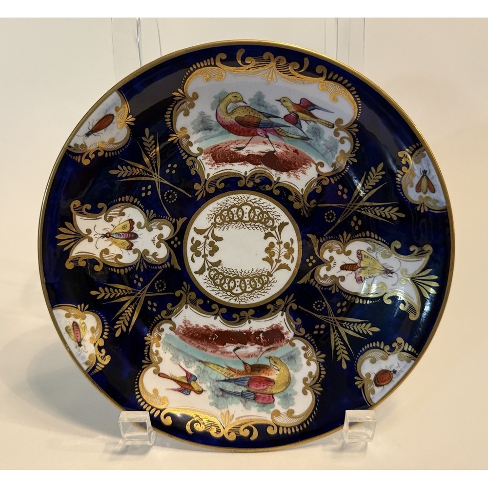 Antique Georgian Coalport Fancy Birds Bugs 19th CE Plate c.1820 John Rose